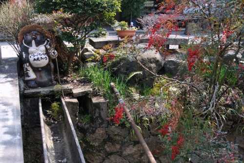 五建ういろ 法然院町16番 左京区 京都市