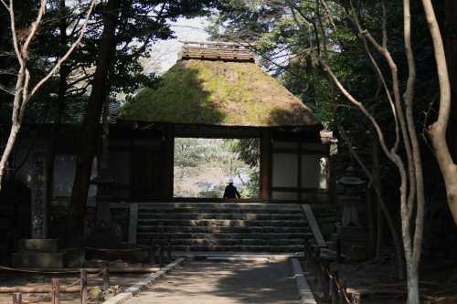 法然院 左京区 京都市