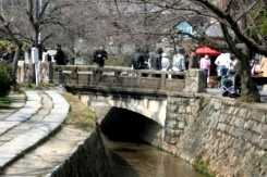 哲学の道終点(銀閣寺橋) 左京区 京都市