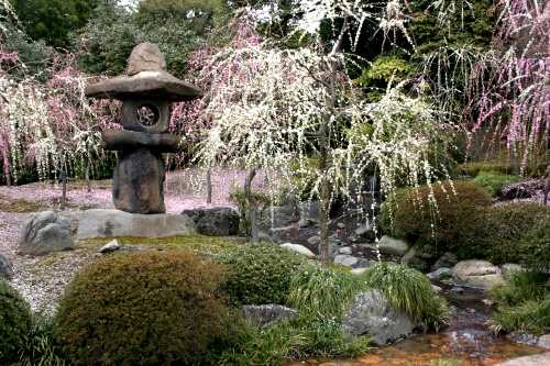 神苑「楽水苑」 城南宮 京都市