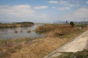 鴨川・桂川合流点 下鳥羽南町前町 伏見区 京都市