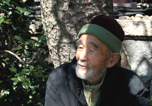 妙教寺 納所北城堀 伏見区 京都市