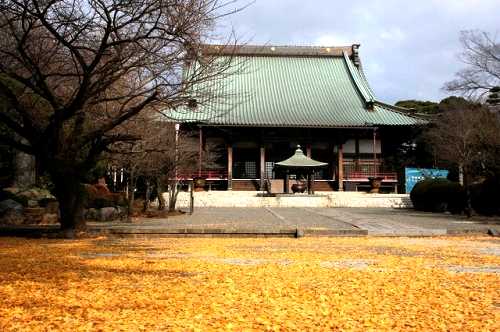 時宗総本山遊行寺（ゆぎょうじ） 西富１丁目 藤沢市