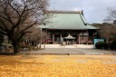時宗総本山遊行寺（ゆぎょうじ） 西富１丁目 藤沢市