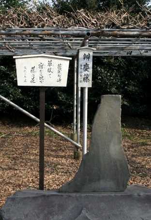 芭蕉句碑 白旗神社 藤沢２丁目 藤沢市