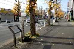 旧平塚宿中心部 平塚 平塚市