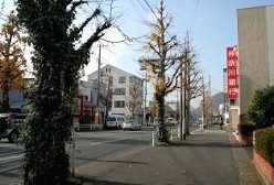 旧平塚宿中心部 平塚 平塚市