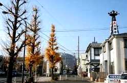 旧平塚宿中心部 平塚 平塚市