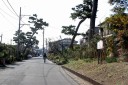 松並木・江戸見附・傍示杭跡 山王町 大磯 大磯町