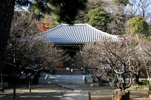 地福寺 大磯 大磯町
