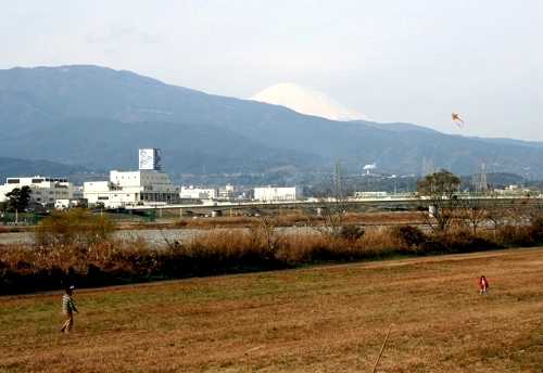 酒匂川 小田原市
