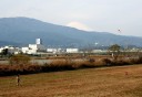 酒匂川 小田原市