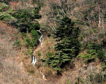 初花ノ瀑 須雲川 箱根町 足柄下郡