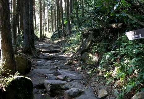 割石坂（登１町余） 須雲川 箱根町 足柄下郡