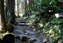 割石坂（登１町余） 須雲川 箱根町 足柄下郡