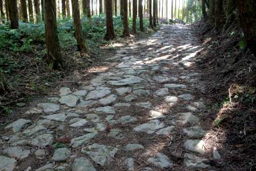 箱根旧街道 願合寺地区の石畳 三島市 静岡県