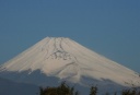 富士山眺望 新町橋より 三島市 静岡県