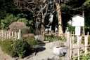 対面石 八幡神社 八幡 清水町 駿東郡 静岡県