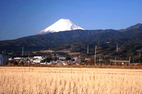 旧浮島ヶ原 原 沼津市 静岡県