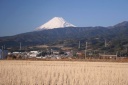 旧浮島ヶ原 原 沼津市 静岡県