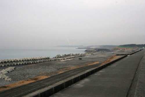 田子の浦 大野新田 富士市 静岡県