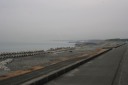 田子の浦 大野新田 富士市 静岡県