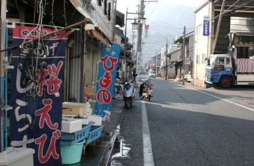桜えび 由比 由比町 庵原郡 静岡県