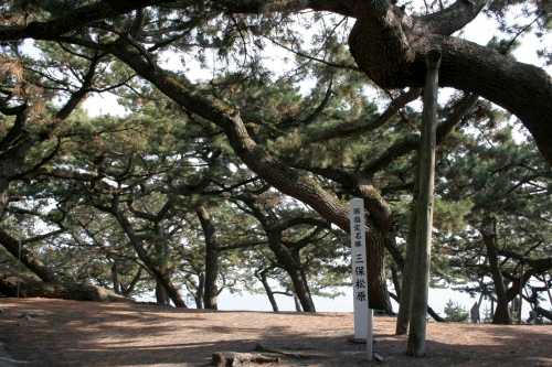 三保の松原 三保 清水区 静岡市 静岡県