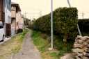 千貫堤 上青島 藤枝市 静岡県