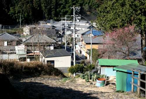菊川の里 菊川 島田市 静岡県
