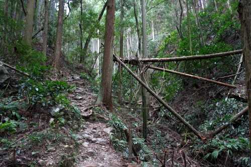 つたの細道 宇津ノ谷 駿河区 静岡市 静岡県