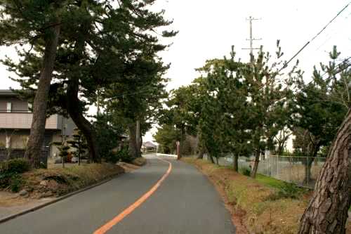 東海道松並木 国本/広岡 袋井市 静岡県