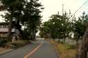 東海道松並木 国本/広岡 袋井市 静岡県