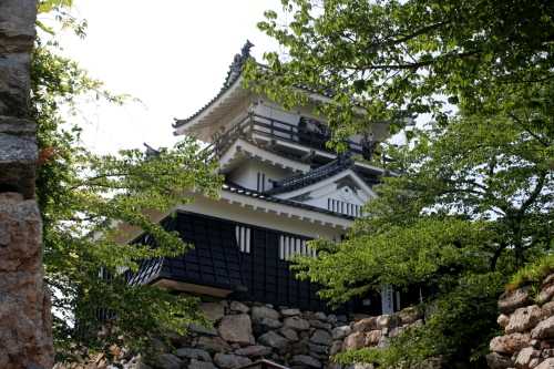 浜松城跡 松城町 中区 浜松市 静岡県