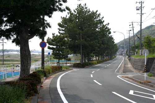 松並木 浜名旧街道 浜名 新居町 浜名郡 静岡県
