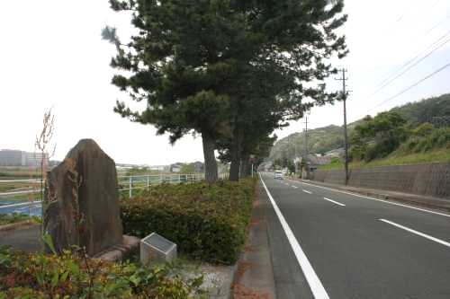 松並木・歌碑 浜名旧街道 浜名 新居町 浜名郡 静岡県