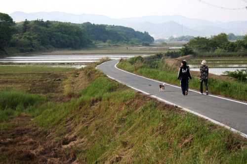 橋北 東細谷町 豊橋市 愛知県