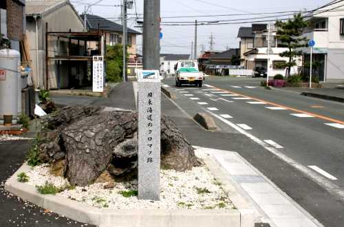 旧東海道のクロマツ跡 火打坂 大岩町 豊橋市 愛知県