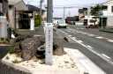 旧東海道のクロマツ跡 火打坂 大岩町 豊橋市 愛知県