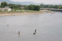 豊川 船町 豊橋市 愛知県