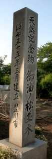 御油松並木 並松 御油町 豊川市 愛知県