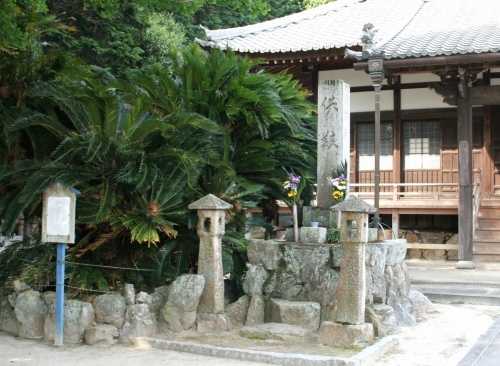 蘇鉄 浄泉寺 西裏 赤坂町 豊川市 愛知県