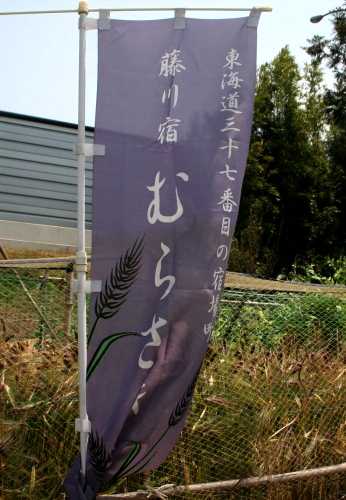 むらさき麦 馬面 市場町 岡崎市 愛知県