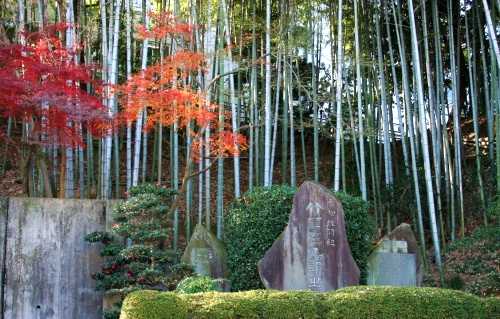 有松絞開祖 竹田庄九郎碑 有松 緑区 名古屋市 愛知県