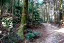 峠の茶屋跡 旧鈴鹿峠 関町坂下 亀山市 三重県