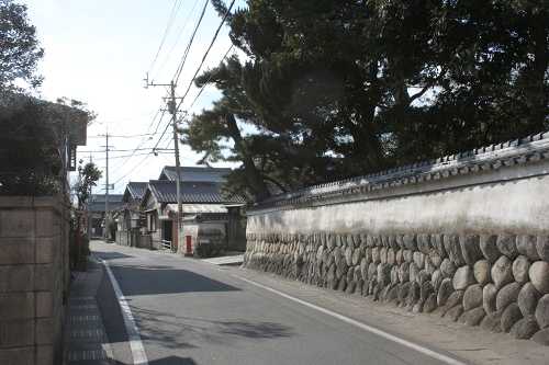 西光寺名残の松 朝日町柿 三重郡 三重県