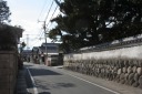 西光寺名残の松 朝日町柿 三重郡 三重県