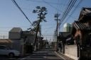 「かわらづ」の松 八田２丁目 四日市市 三重県