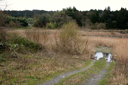 松尾の渡し跡 土山町北土山滝町 甲賀市 滋賀県