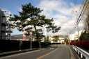 粟津の松並木（粟津の晴嵐） 晴嵐２丁目 大津市 滋賀県